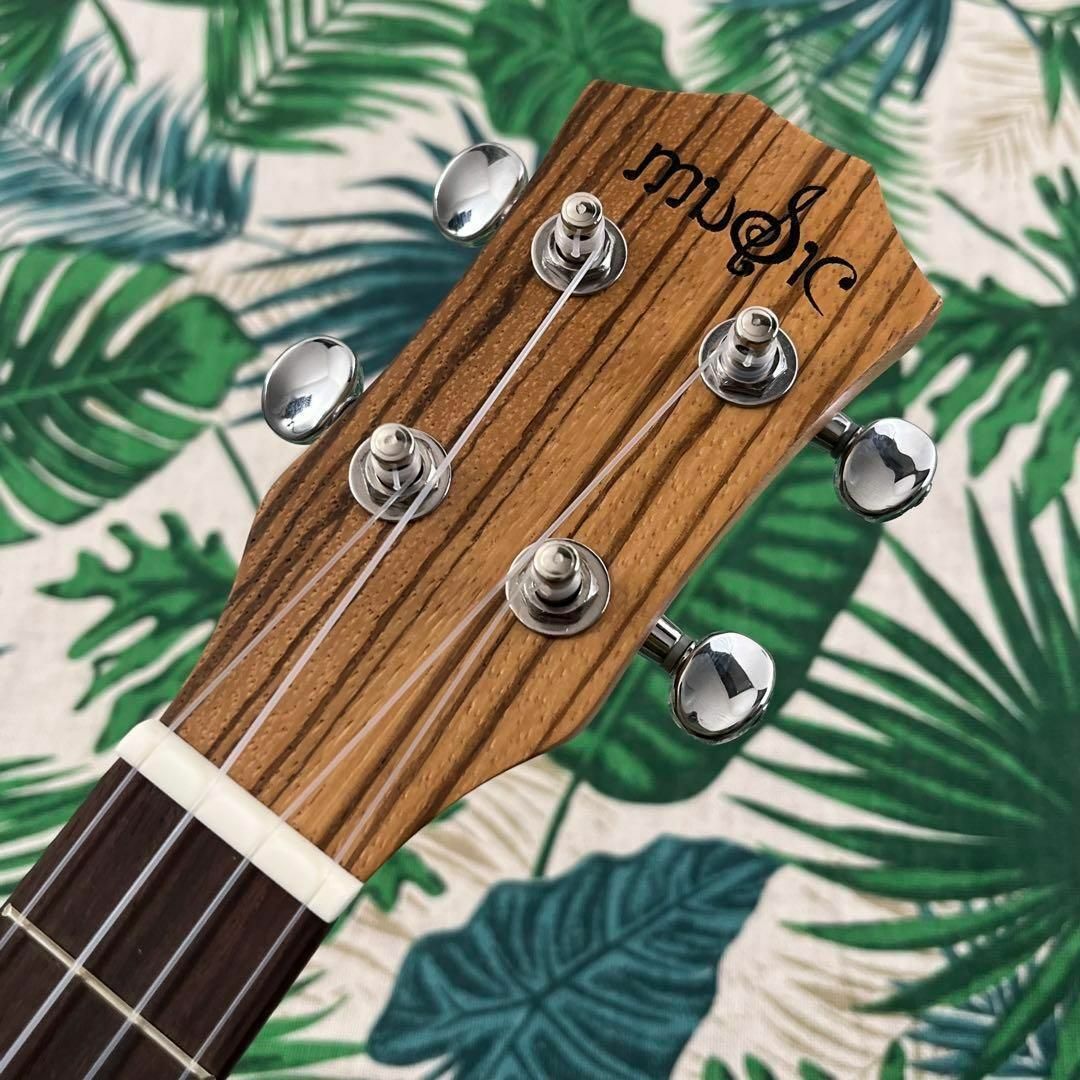 【music ukulele】ゼブラウッドのエレキ・テナーウクレレ【入門セット】 楽器のウクレレ(テナーウクレレ)の商品写真