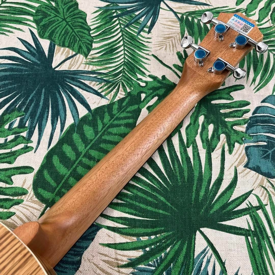 【music ukulele】ゼブラウッドのエレキ・テナーウクレレ【入門セット】 楽器のウクレレ(テナーウクレレ)の商品写真