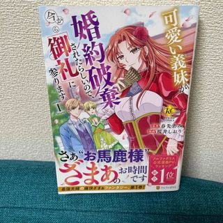 可愛い義妹が婚約破棄されたらしいので、今から「御礼」に参ります。(その他)