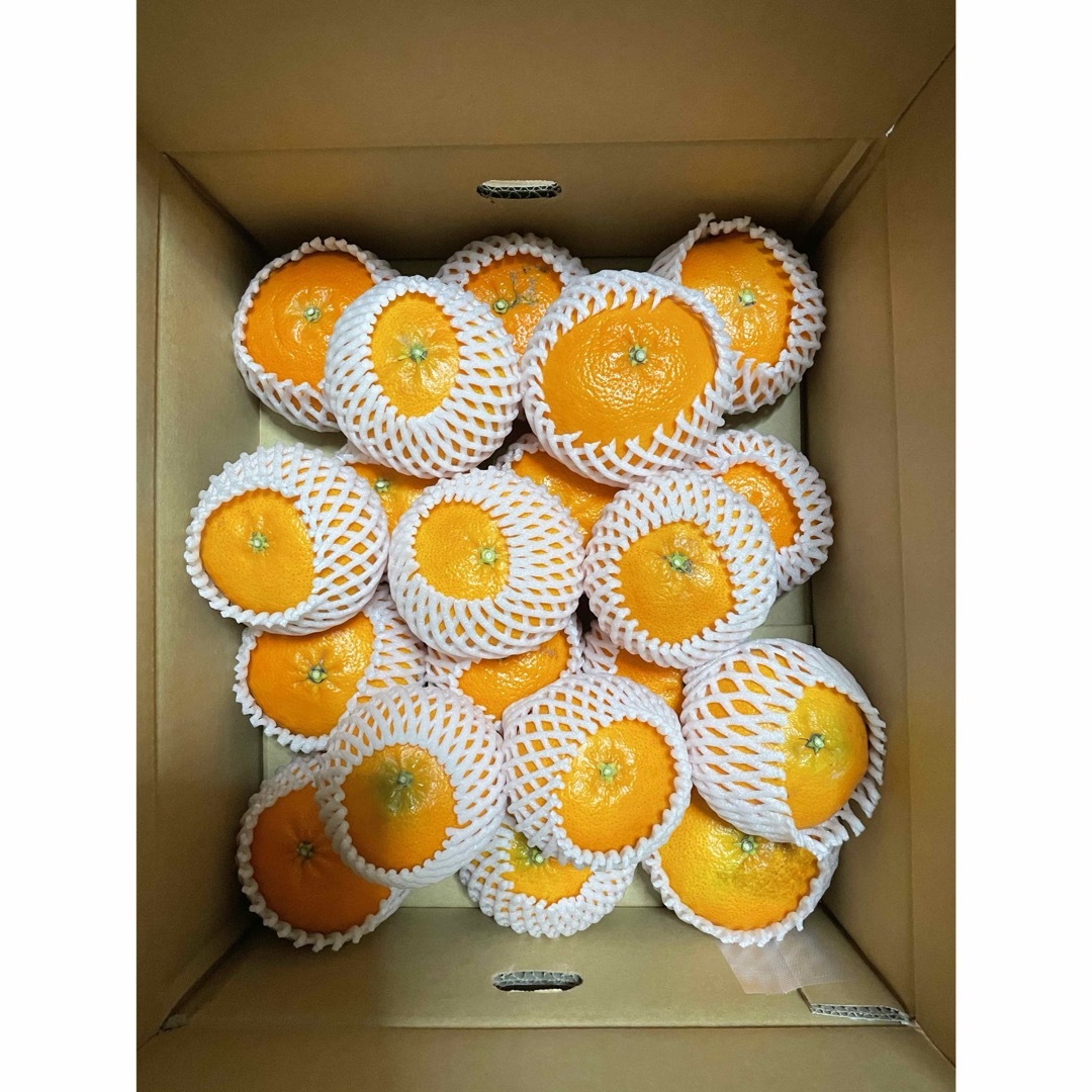 愛媛県産 産地直送 甘平(サイズ混合)4.5kg(箱 梱包込み) 食品/飲料/酒の食品(フルーツ)の商品写真
