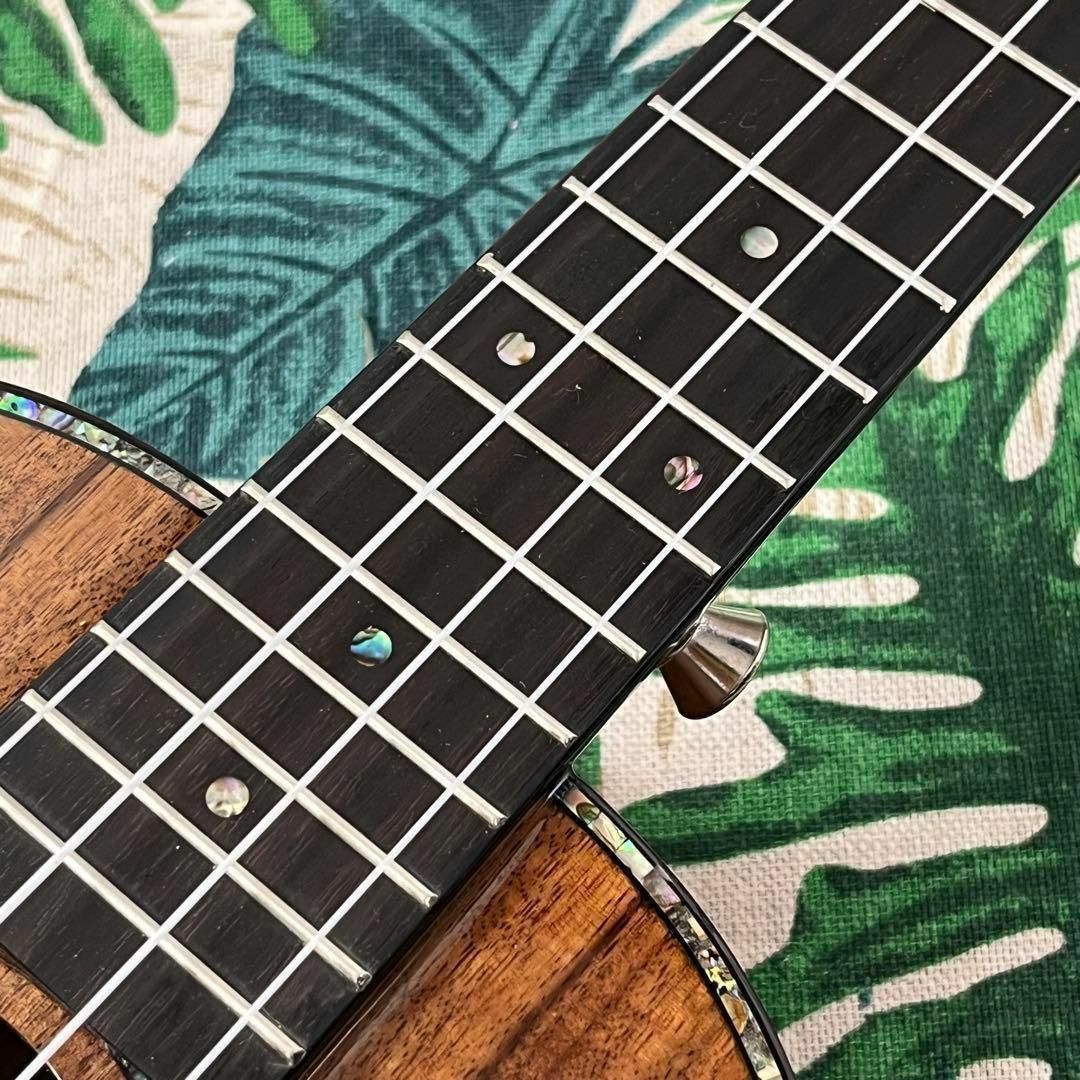 【Kaysen ukulele】コア単板のテナーウクレレ【ウクレレ専門店】 楽器のウクレレ(テナーウクレレ)の商品写真