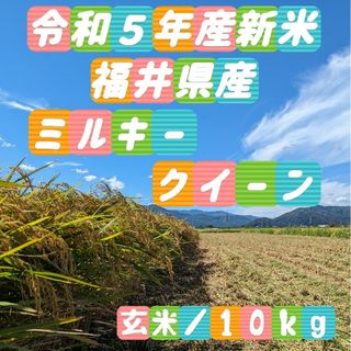 ✾福井県産ミルキークイーン✾玄米10kg✾⑤年産新米✾減農薬栽培✾(米/穀物)