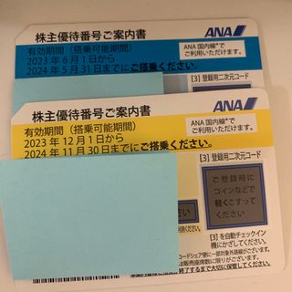 エーエヌエー(ゼンニッポンクウユ)(ANA(全日本空輸))のANA 株主優待券　2枚(ショッピング)