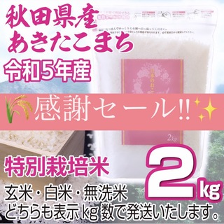 令和５年産 秋田県産 【特別栽培米】 あきたこまち2kg 無洗米も対応(米/穀物)