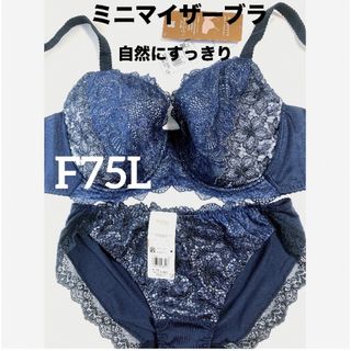 ワコール(Wacoal)の【新品タグ付】ワコールLesiagミニマイザーブラF75L（定価¥10,340）(ブラ&ショーツセット)