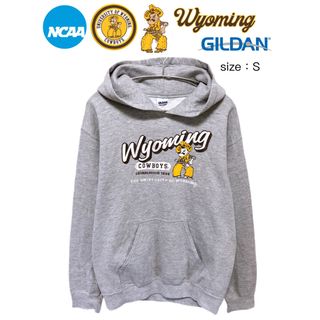 ギルタン(GILDAN)のNCAA　Wyoming Cowboys　パーカー　S　グレー　USA古着(パーカー)