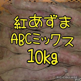 紅あずまABCミックス10kg(野菜)