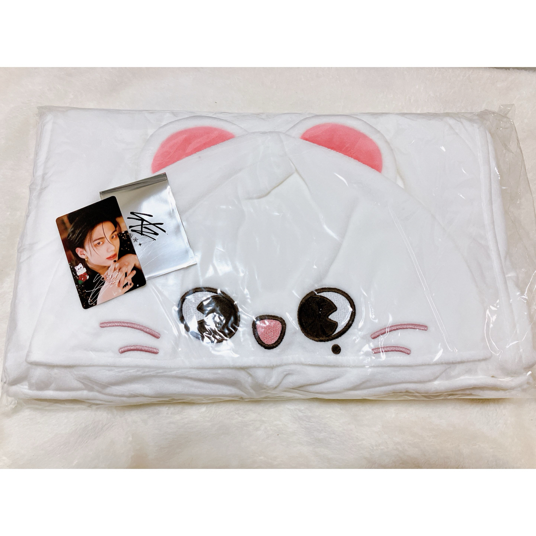 stray kids ヒョンジン　ブランケット　ジニレット　スキズ　skzoo エンタメ/ホビーのタレントグッズ(アイドルグッズ)の商品写真