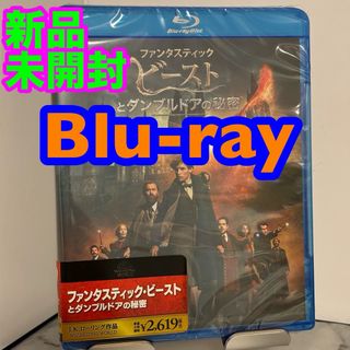 ファンタスティック・ビーストとダンブルドアの秘密 [Blu-ray](外国映画)