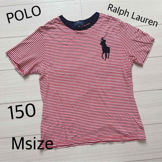 ポロラルフローレン(POLO RALPH LAUREN)のPOLO Ralph Lauren ボーダー Tシャツ カットソー マリン(Tシャツ(半袖/袖なし))