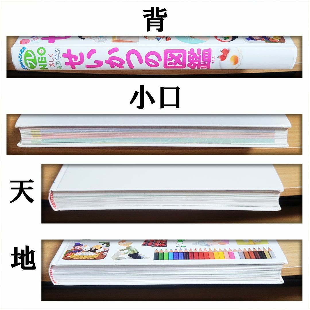 【あんしん補償】小学館の子ども図鑑プレNEO　せいかつの図鑑／流田 直 エンタメ/ホビーの本(絵本/児童書)の商品写真