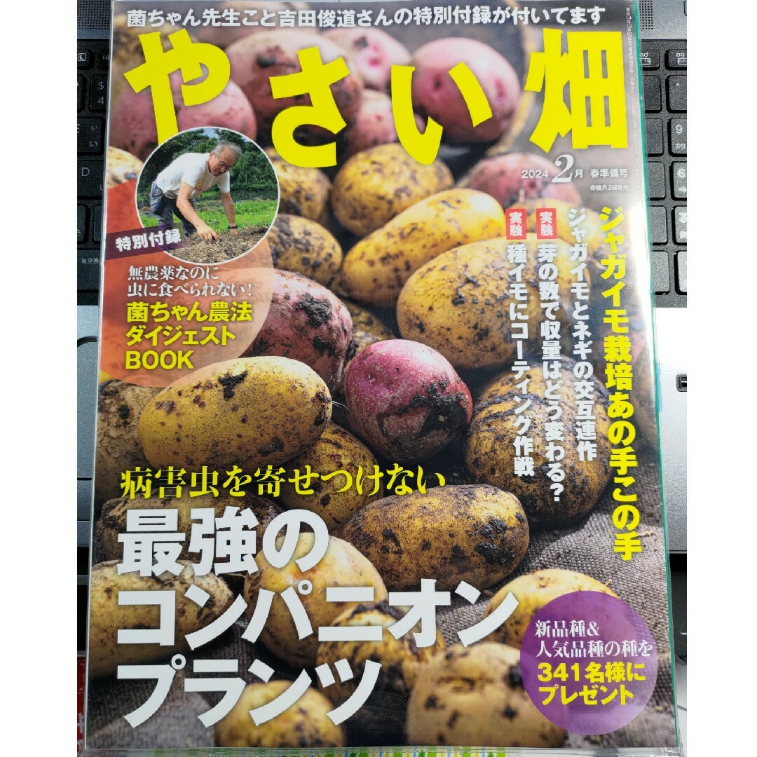 やさい畑 2024年 02月号 [雑誌] エンタメ/ホビーの雑誌(その他)の商品写真