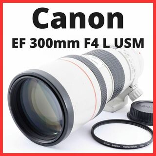 キヤノン(Canon)のB19/5575A-26 / キャノン  EF 300mm F4 L USM(レンズ(単焦点))