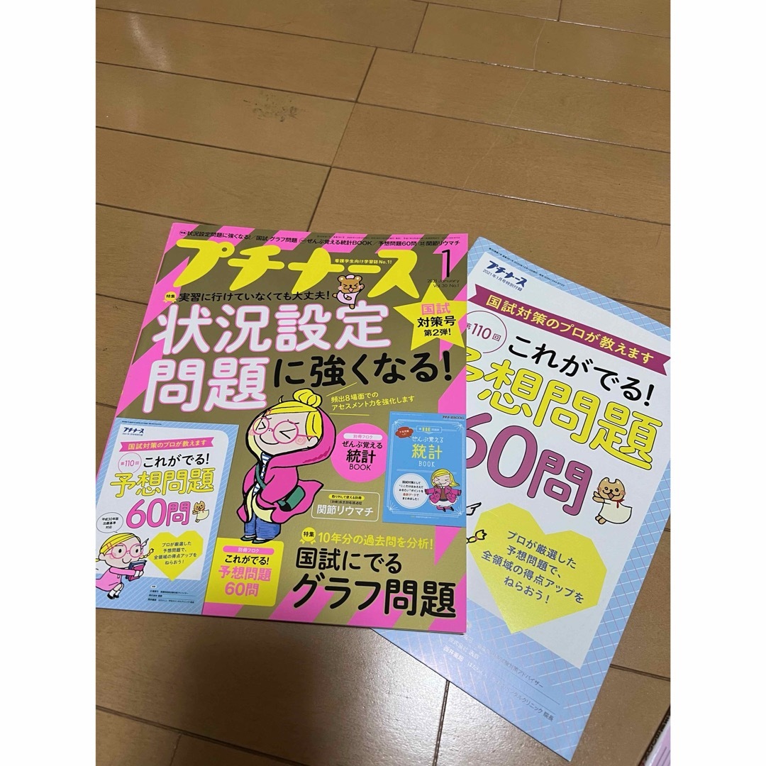 プチナース 2021年 01月号 [雑誌] エンタメ/ホビーの雑誌(専門誌)の商品写真