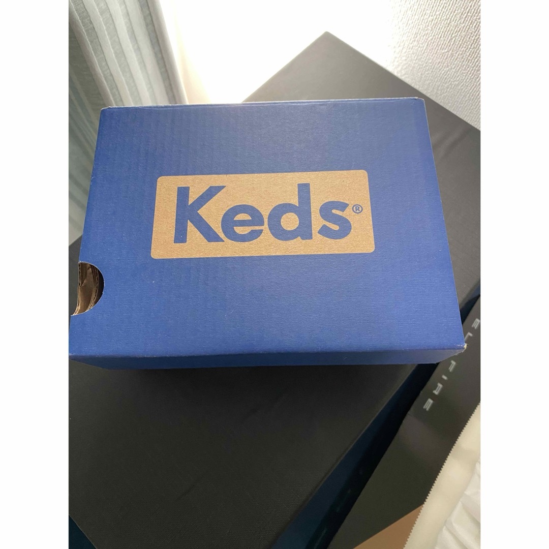 Keds(ケッズ)の新品　Keds キッズ ユニセックス子供用ジャンプキック ジュニア スニーカー キッズ/ベビー/マタニティのキッズ靴/シューズ(15cm~)(スニーカー)の商品写真