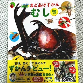 ショウガクカン(小学館)のまどあけずかん(むし)：新品未使用(絵本/児童書)