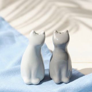 カルディ(KALDI)のカルディ　猫　ソルトアンドペッパー入れ(収納/キッチン雑貨)