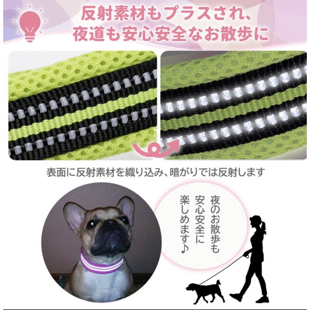 犬　首輪　オレンジ その他のペット用品(犬)の商品写真