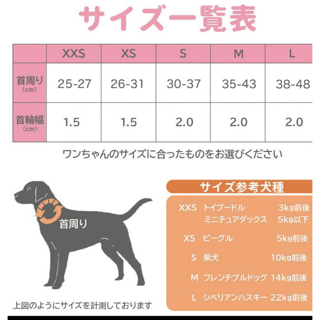 犬　首輪　オレンジ その他のペット用品(犬)の商品写真