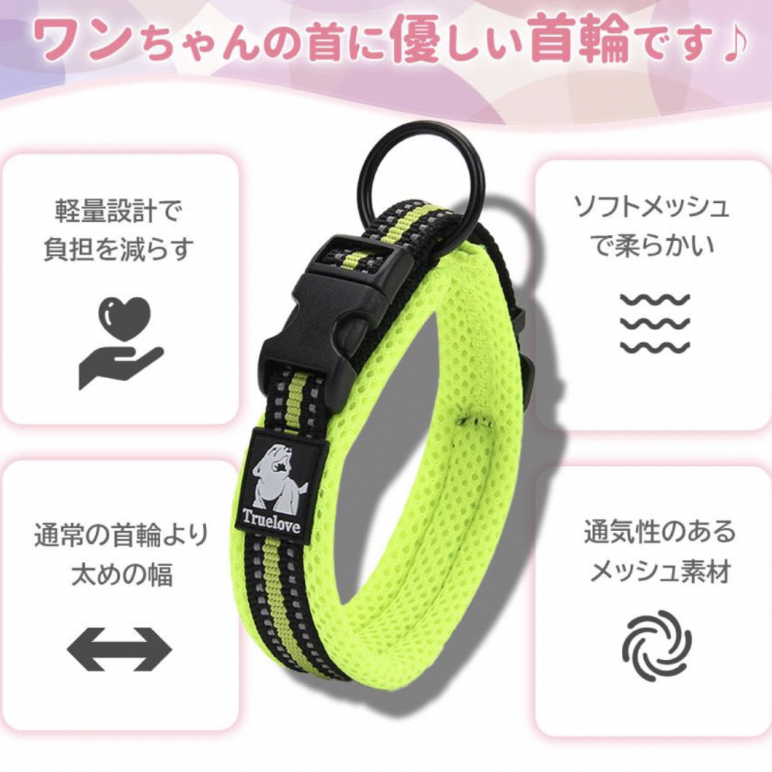 犬　首輪　オレンジ その他のペット用品(犬)の商品写真