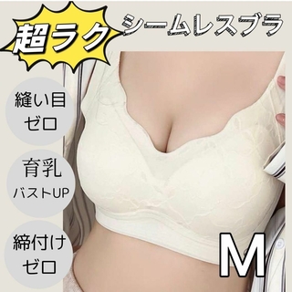 シームレス ノンワイヤ 育乳ブラ M トップブラ ナイトブラ パッド付き ジム(ブラ)