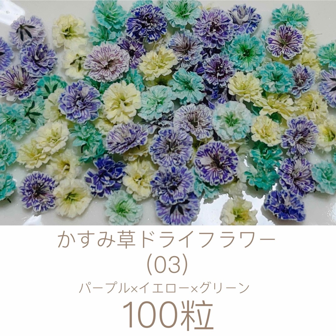 (03)かすみ草ドライフラワー100粒 ハンドメイドのフラワー/ガーデン(ドライフラワー)の商品写真