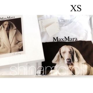 マックスマーラ(Max Mara)のMaxMara VALIDO wegman マックスマーラ Tシャツ 白 XS(Tシャツ(半袖/袖なし))