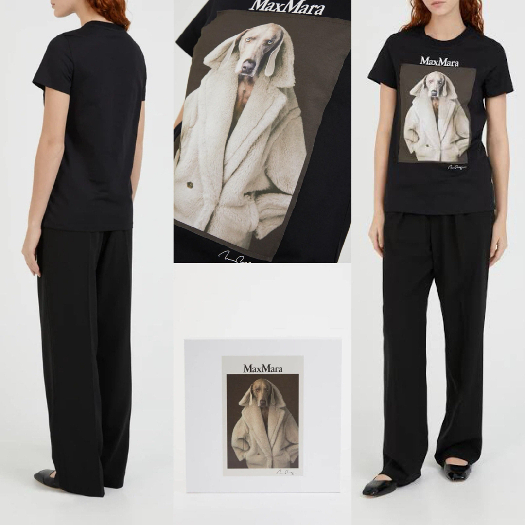 Max Mara VALIDO Wegman プリント Tシャツ Lサイズ 美品
