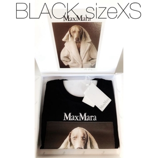 マックスマーラ(Max Mara)のMAX MARA VALIDO wegman マックスマーラ Tシャツ 黒 XS(Tシャツ(半袖/袖なし))