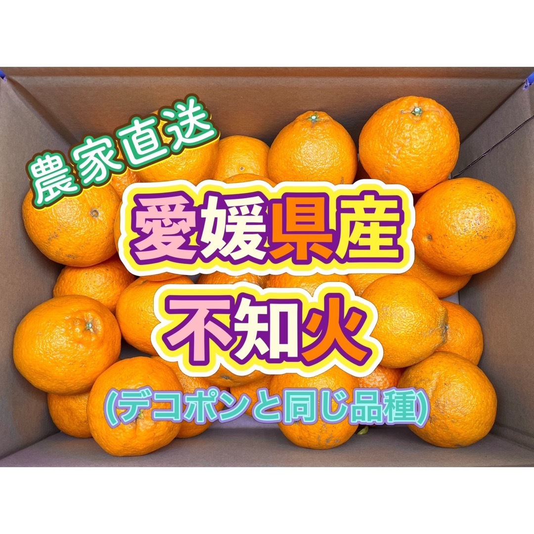 愛媛県産 不知火(デコポンと同じ品種) 【家庭消費向け】 5kg(箱込) 食品/飲料/酒の食品(フルーツ)の商品写真