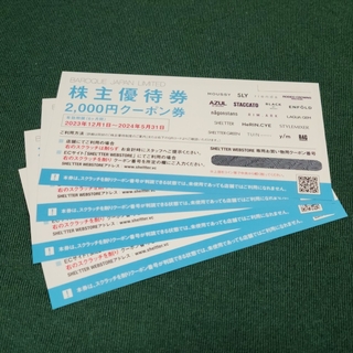 バロックジャパンリミテッド 株主優待券 8,000円(その他)