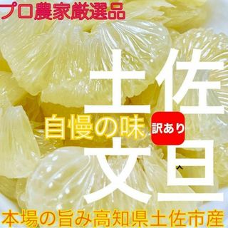 土佐文旦：訳あり9.5kg プロ農家産地直送(フルーツ)