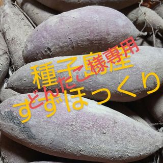 どんたこ様専用(野菜)