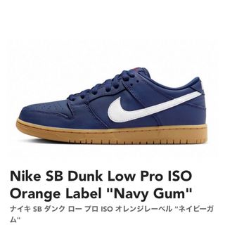 ナイキ ダンク（オレンジ/橙色系）の通販 3,000点以上 | NIKEを買う