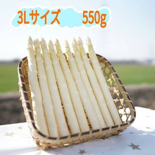 3Lサイズ  ホワイトアスパラガス550g(野菜)