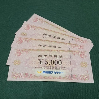 早稲田アカデミー　株主優待券20000円(その他)