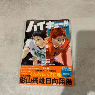 ハイキュー!! magazine 2024 FEBRUARY 新品未使用シュリン(漫画雑誌)