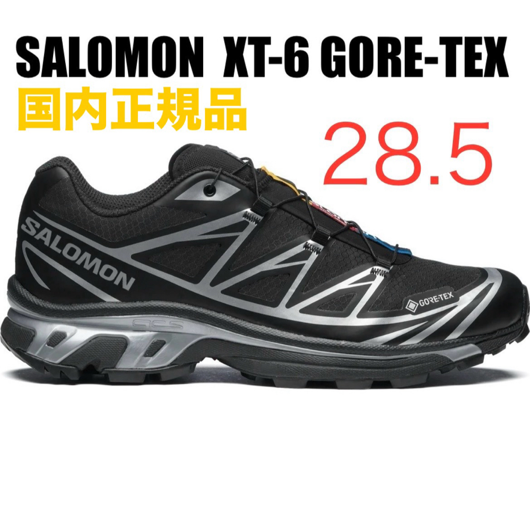 SALOMON(サロモン)のSALOMON XT-6 GORE-TEX ゴアテックス 28.5cm メンズの靴/シューズ(スニーカー)の商品写真