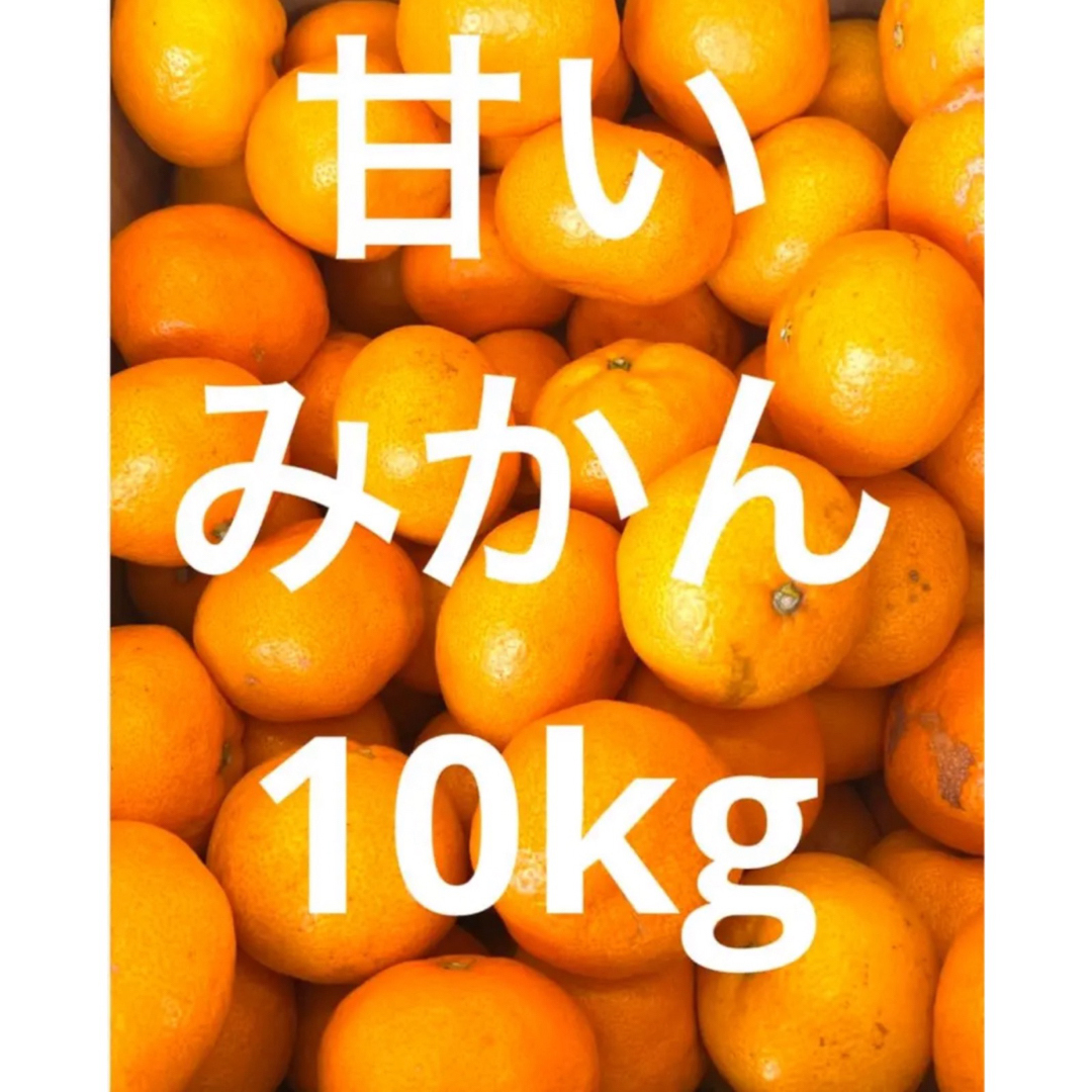 可哀想シリーズ①みかん　10kg    M以上大きいサイズ 食品/飲料/酒の食品(フルーツ)の商品写真