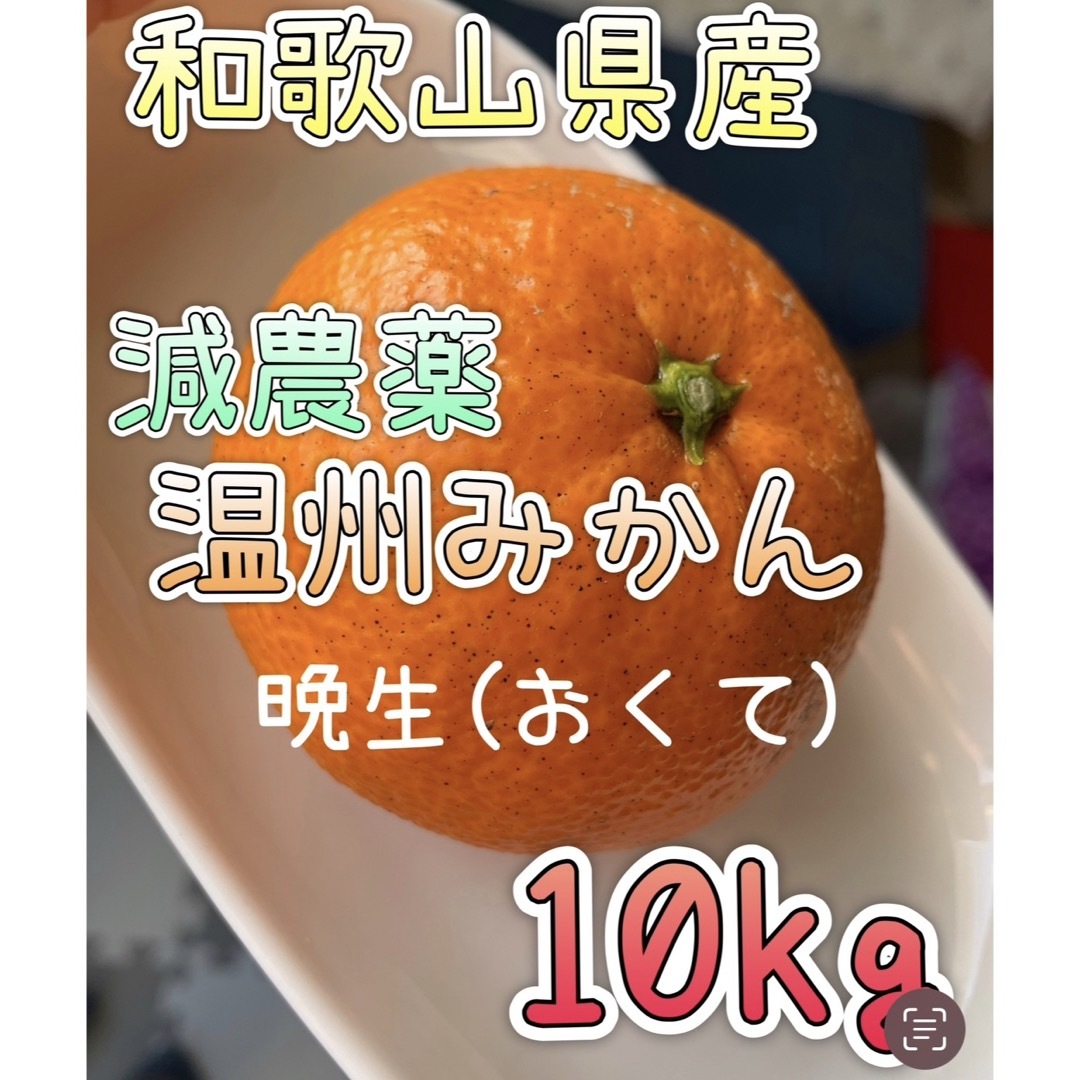 減農薬 晩生みかん【10kg】和歌山県産 食品/飲料/酒の食品(フルーツ)の商品写真