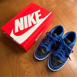 ナイキ(NIKE)のNIKE DANK LOW RETRO 29cm(スニーカー)