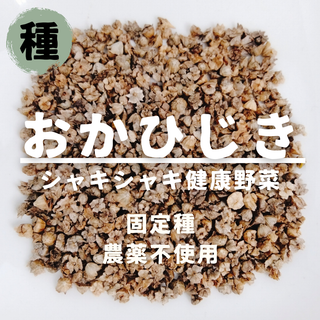 【種】おかひじき　無農薬　30粒(野菜)