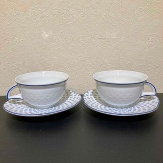 リチャードジノリ(Richard Ginori)のジノリ　カップ&ソーサー　2客セット(食器)