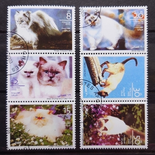 海外切手 6枚セット アフガニスタン 猫 ペット バーマン シャム ペルシアン(使用済み切手/官製はがき)