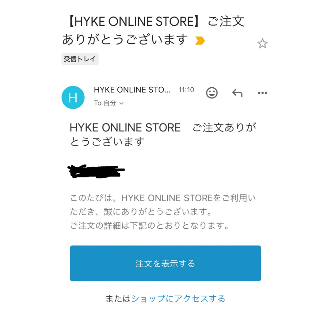 HYKE(ハイク)のHYKE GTX トレイルロングジャケット（メンズ） メンズのジャケット/アウター(マウンテンパーカー)の商品写真