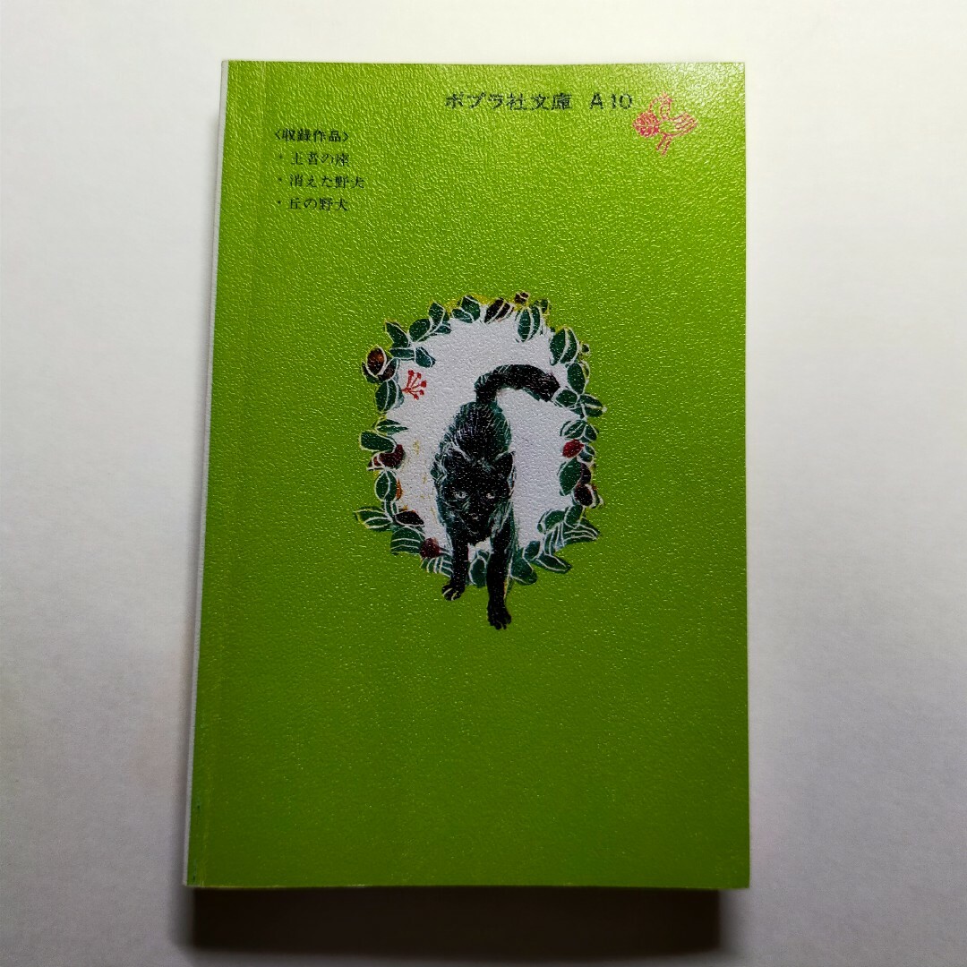 名著  孤島の野犬   椋鳩十 エンタメ/ホビーの本(絵本/児童書)の商品写真