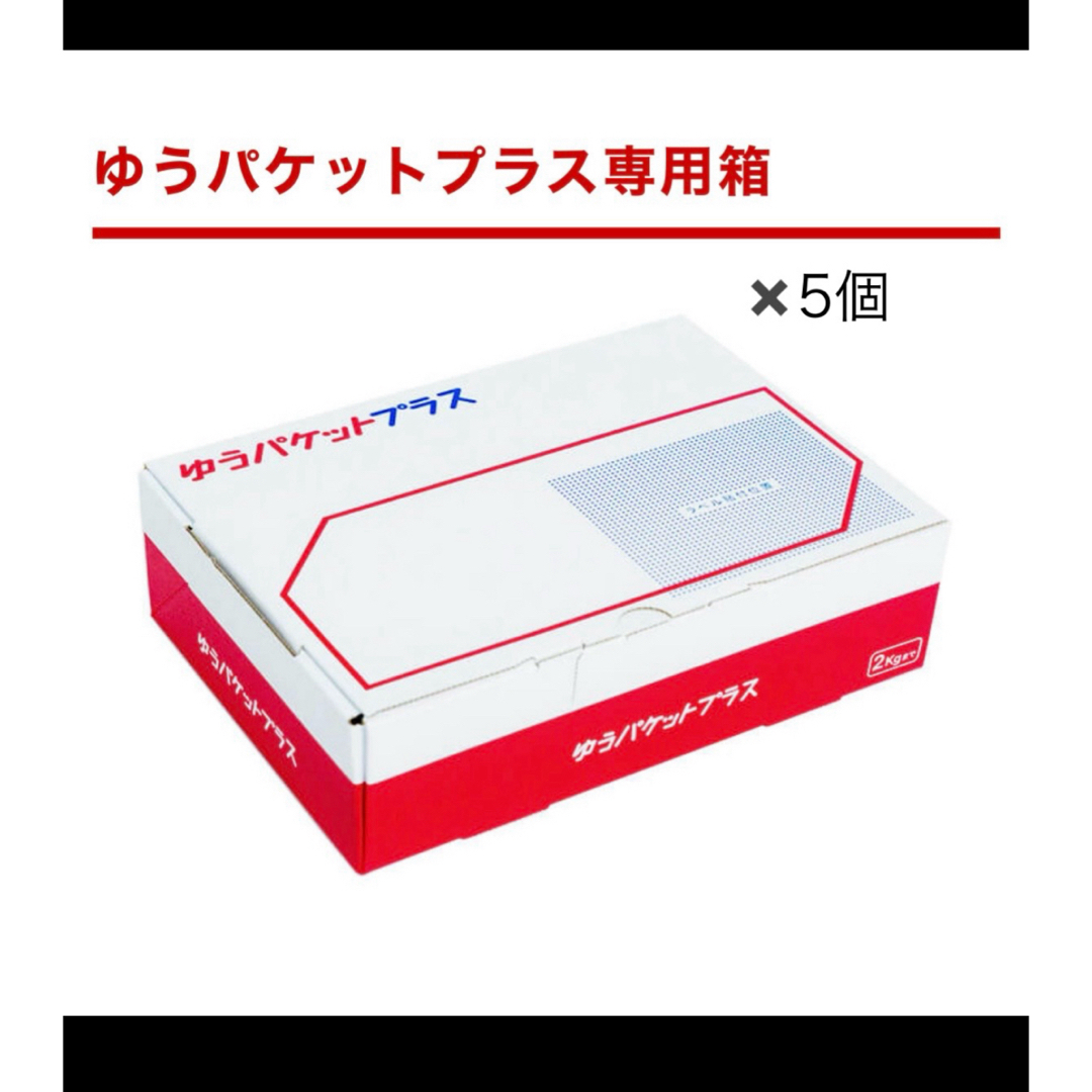 ゆうパケットプラス専用箱　5箱 インテリア/住まい/日用品のオフィス用品(ラッピング/包装)の商品写真