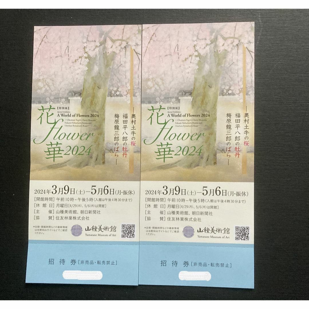 山種美術館 招待券 2枚セット 2024年5月6日まで チケットの施設利用券(美術館/博物館)の商品写真