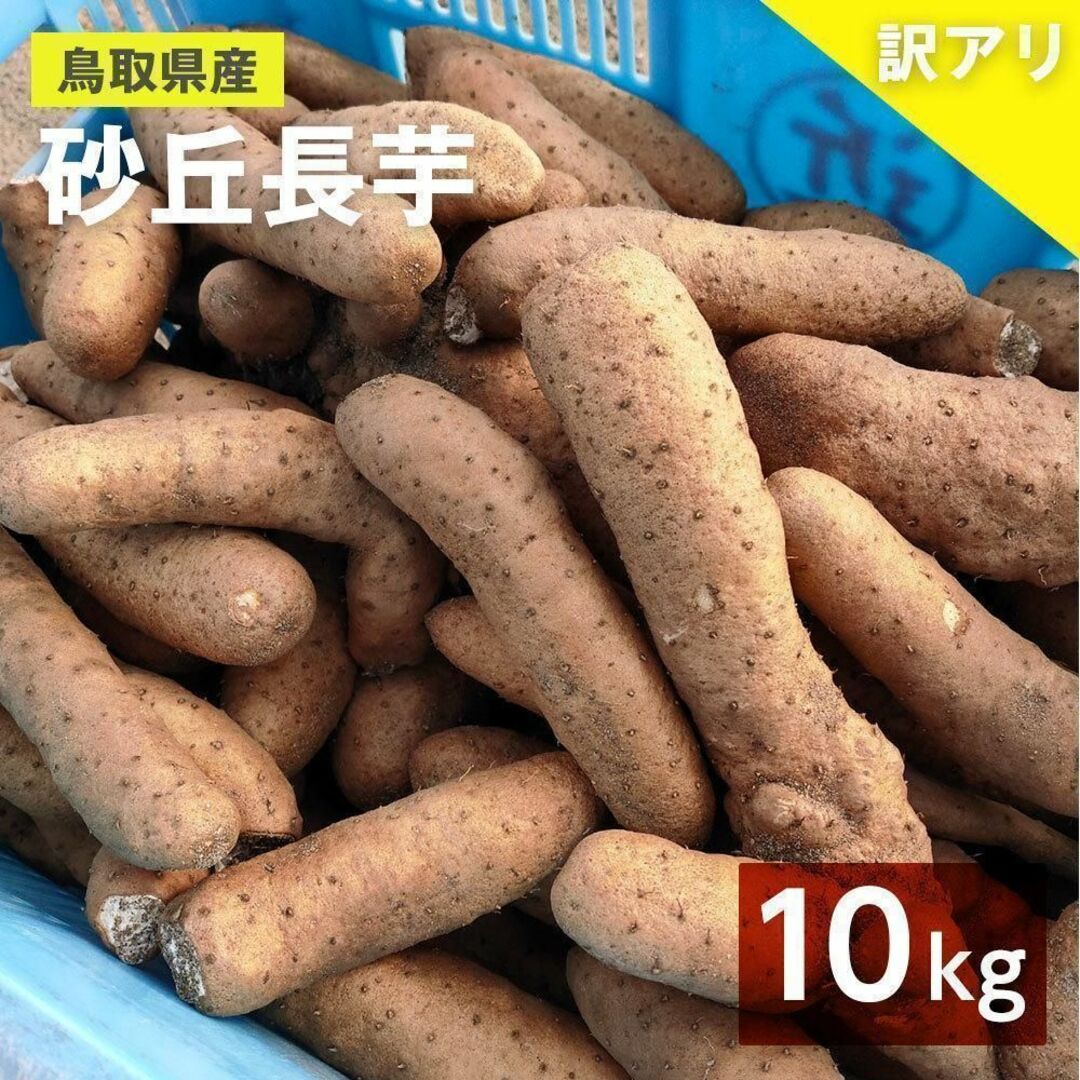 【訳あり】砂丘ながいも　長芋　とりたて 10kg程度　とろろ　ねばり　山芋　バラ 食品/飲料/酒の食品(野菜)の商品写真