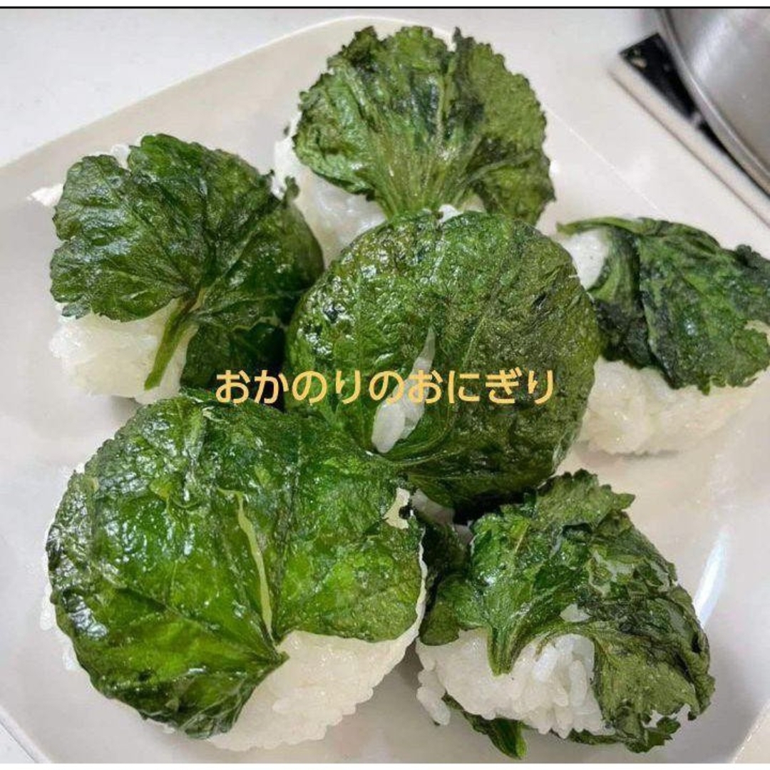 自然農法　おかのりの固定種 食品/飲料/酒の食品(野菜)の商品写真